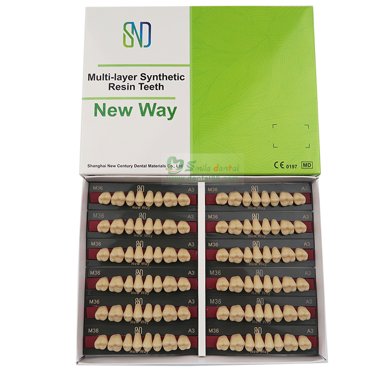 Three Layer Acrylic Resin Teeth